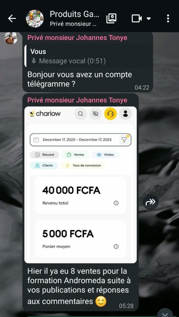 Gestion des réseaux sociaux & Meta Ads de Johannes Tonye — preuve 3