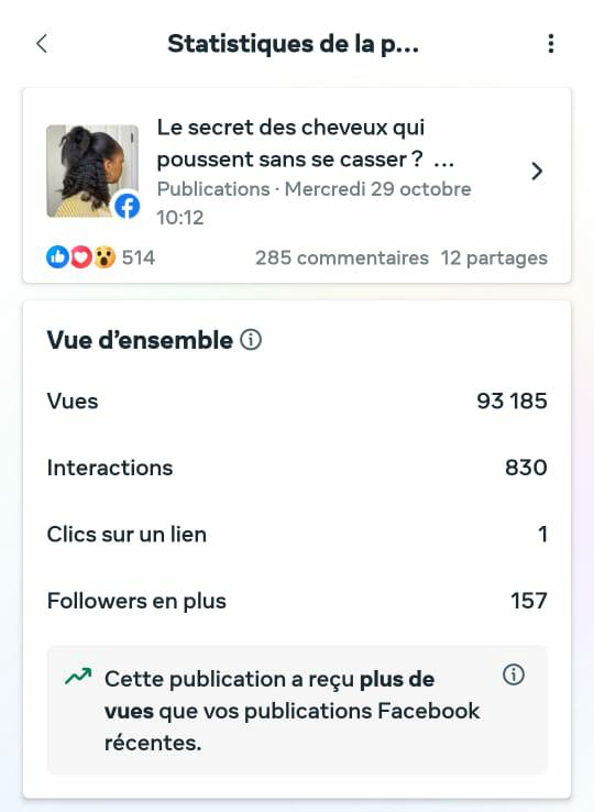 Gestion & stratégie social media de The Queen — preuve 6
